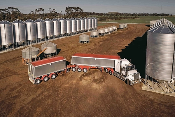 Lusty EMS Available at Double R Tamworth